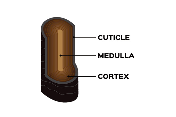 内部補修トリートメントの効果とは？
