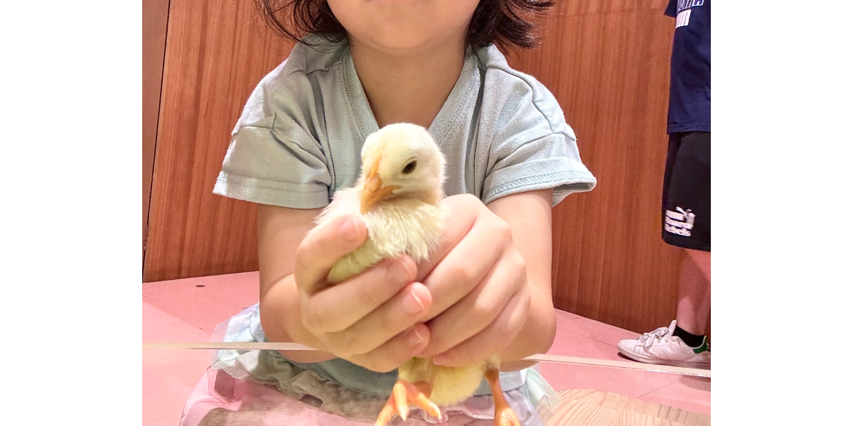 ららぽーと福岡のモフアニマルカフェは子連れにおすすめ