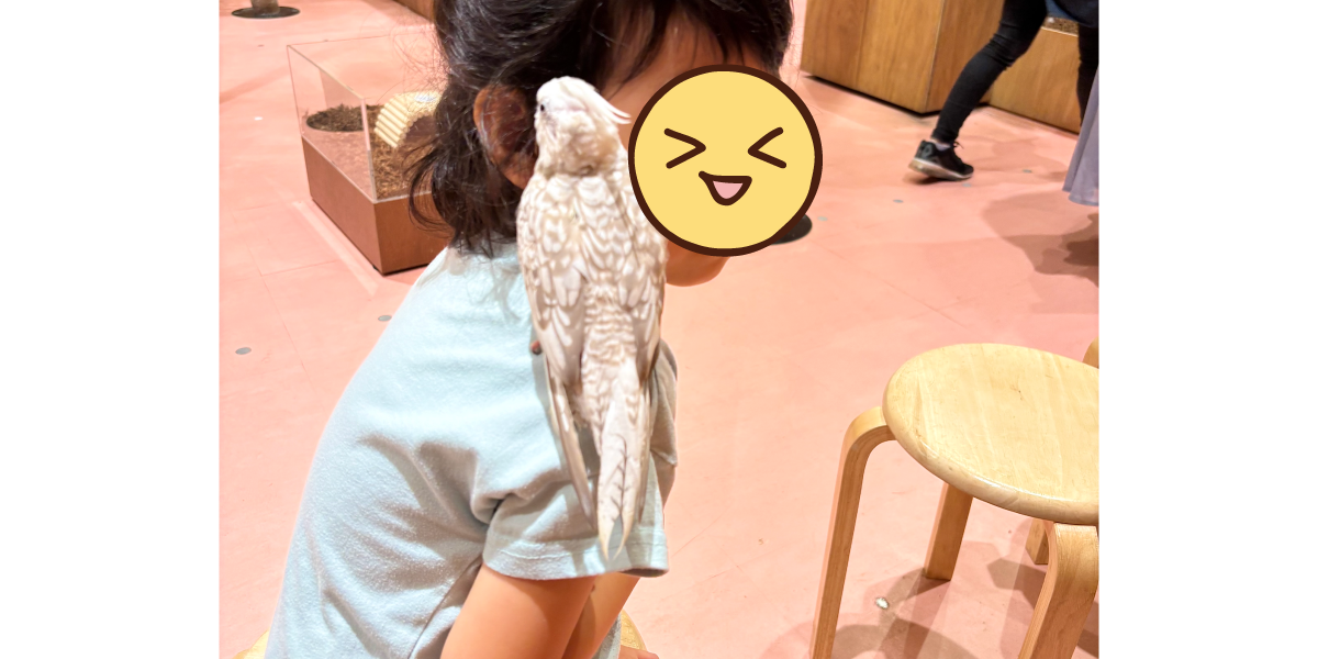 ららぽーと福岡のモフアニマルカフェ