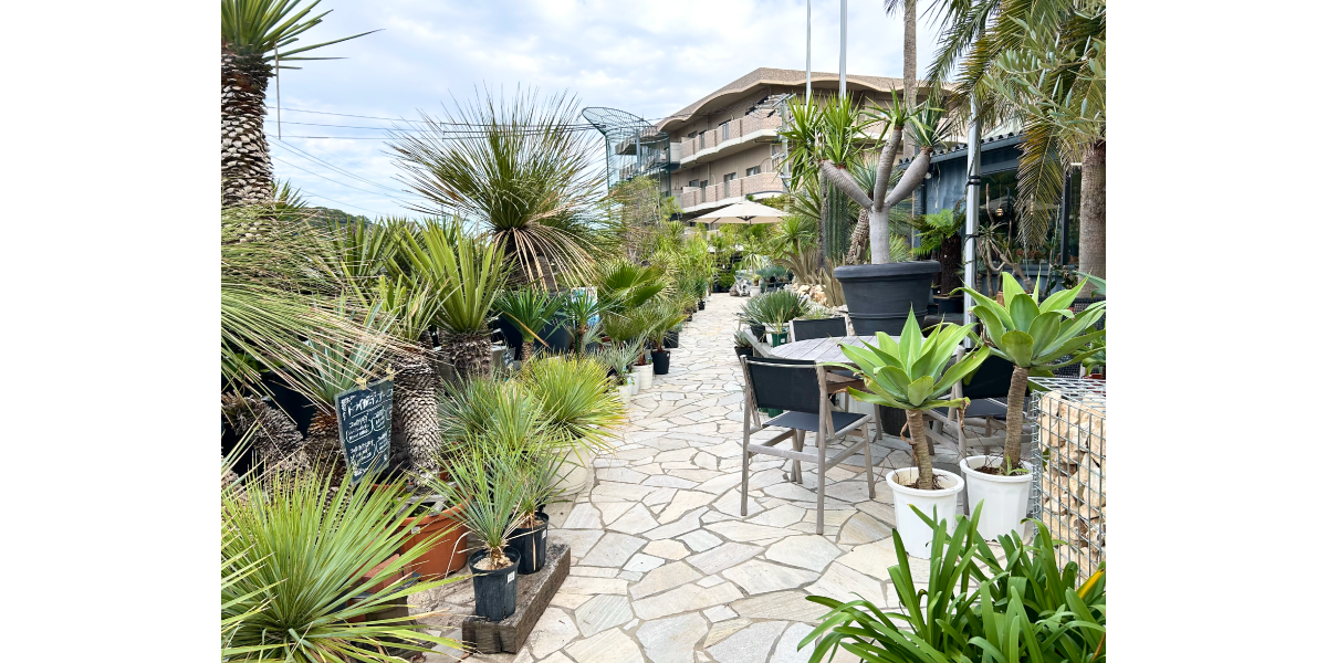 GHB　EFFECTのドライガーデンはダイナミック