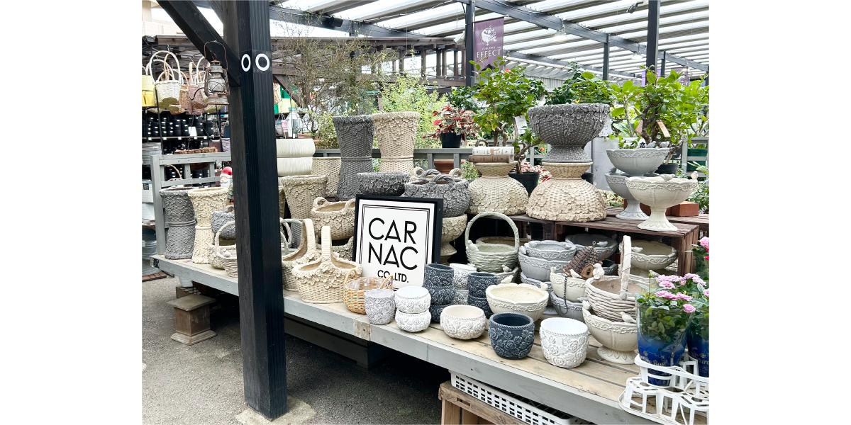 エフェクト福岡には、観葉植物を育てるための用品が揃っています。