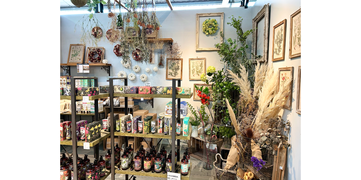 平田ナーセリー 福岡西区 小戸店 VILLAGGIOにはドライフラワーやエアプランツも豊富