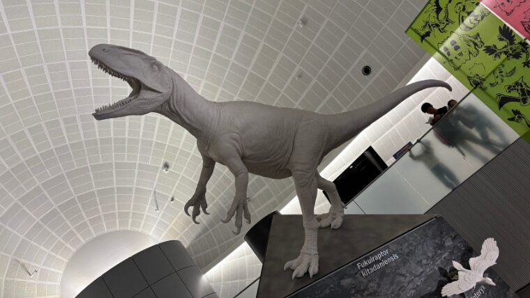 福井の恐竜観光の中心といえば「福井県立恐竜博物館」。 