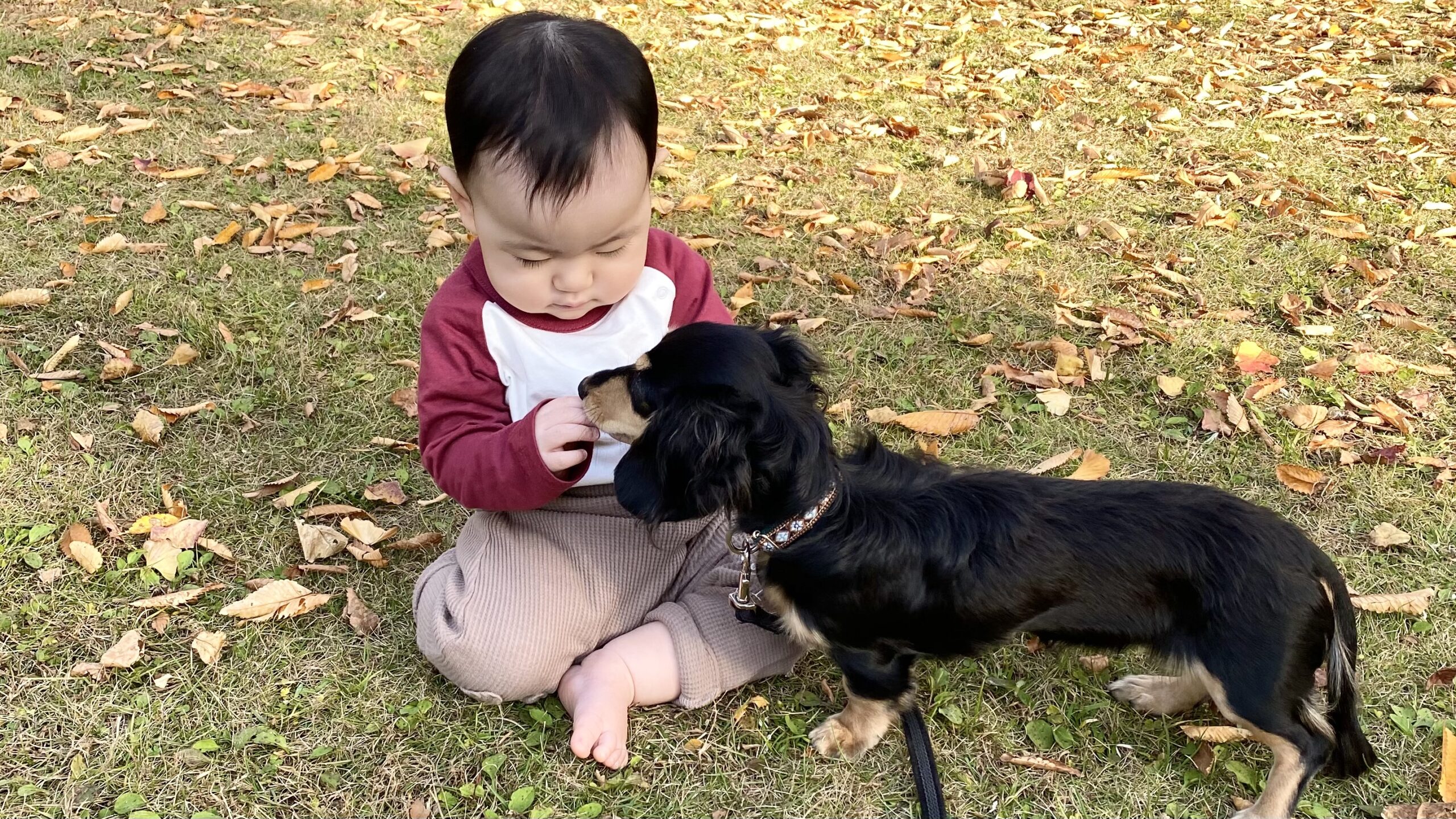 犬・子ども・アレルギー持ちがいる家庭に勧めたい加湿器