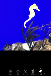 Apple Intelligenceでできること一覧｜写真編集・整理のAI機能