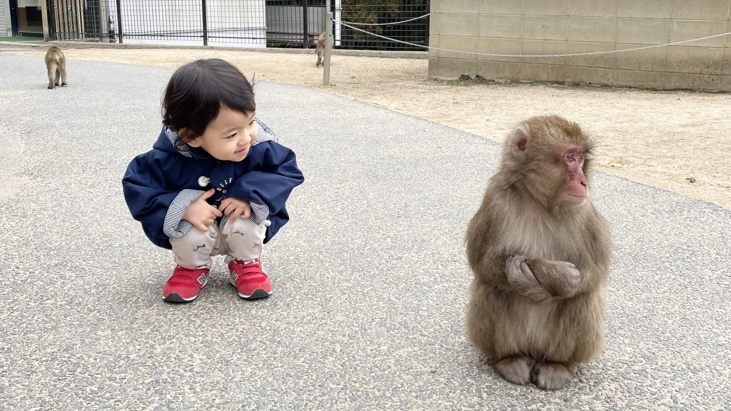 子ども・犬・アレルギー持ちの家庭におすすめな加湿器5選！リアルな口コミもまとめてご紹介。