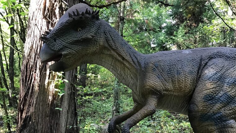 恐竜博物館の隣に広がる「かつやま恐竜の森」は、自然の中で恐竜をテーマに遊べる体験型パーク。