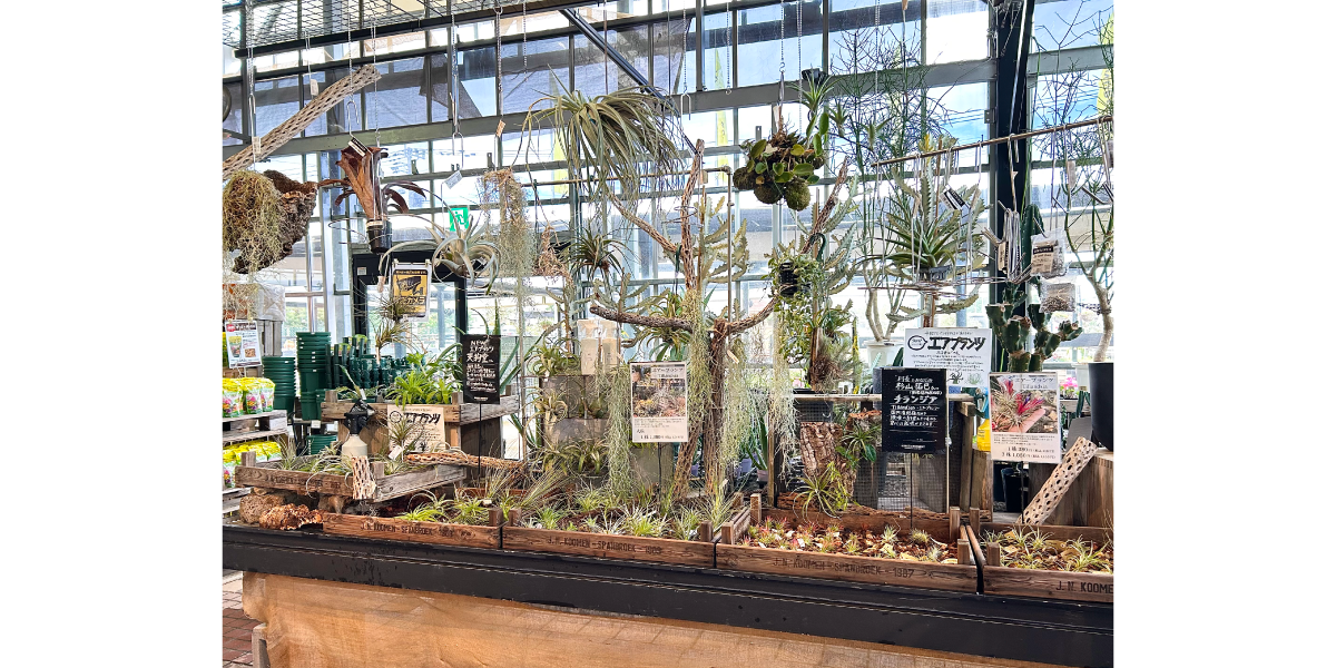 平田ナーセリー福岡西区の店舗の様子
