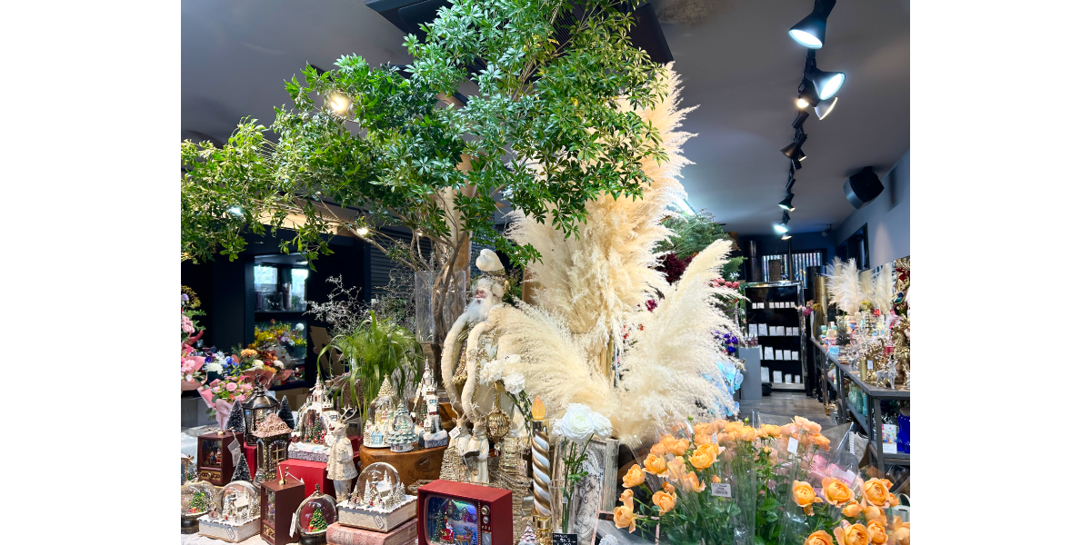 エフェクト福岡には、パンパスグラスなどインテリアで人気な観葉植物が豊富です。