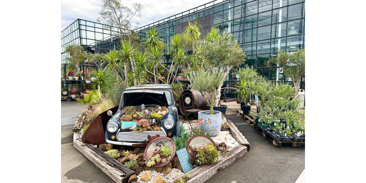 平田ナーセリー　西区のお店は駐車場も広々です。