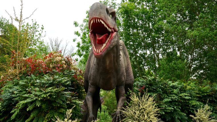 福井県には、日本最大級の恐竜博物館を中心に、多彩な恐竜体験ができる施設がそろっています