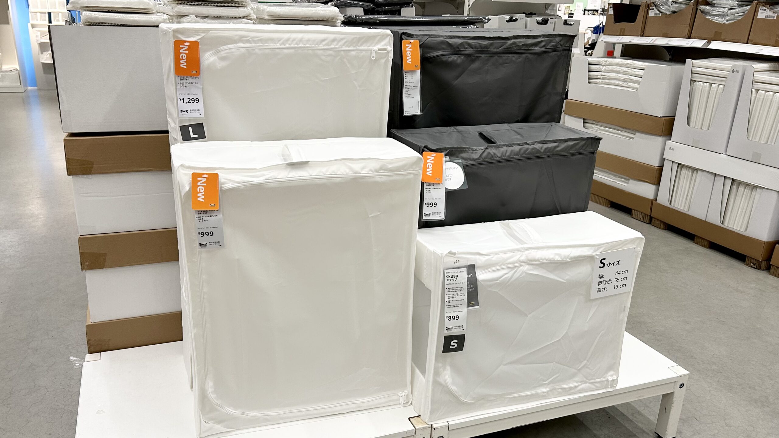 スクッブ3種類のサイズを比較。新商品と廃盤も