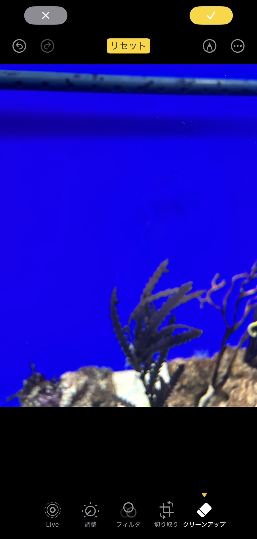 クリーンアップでいらないものを消す