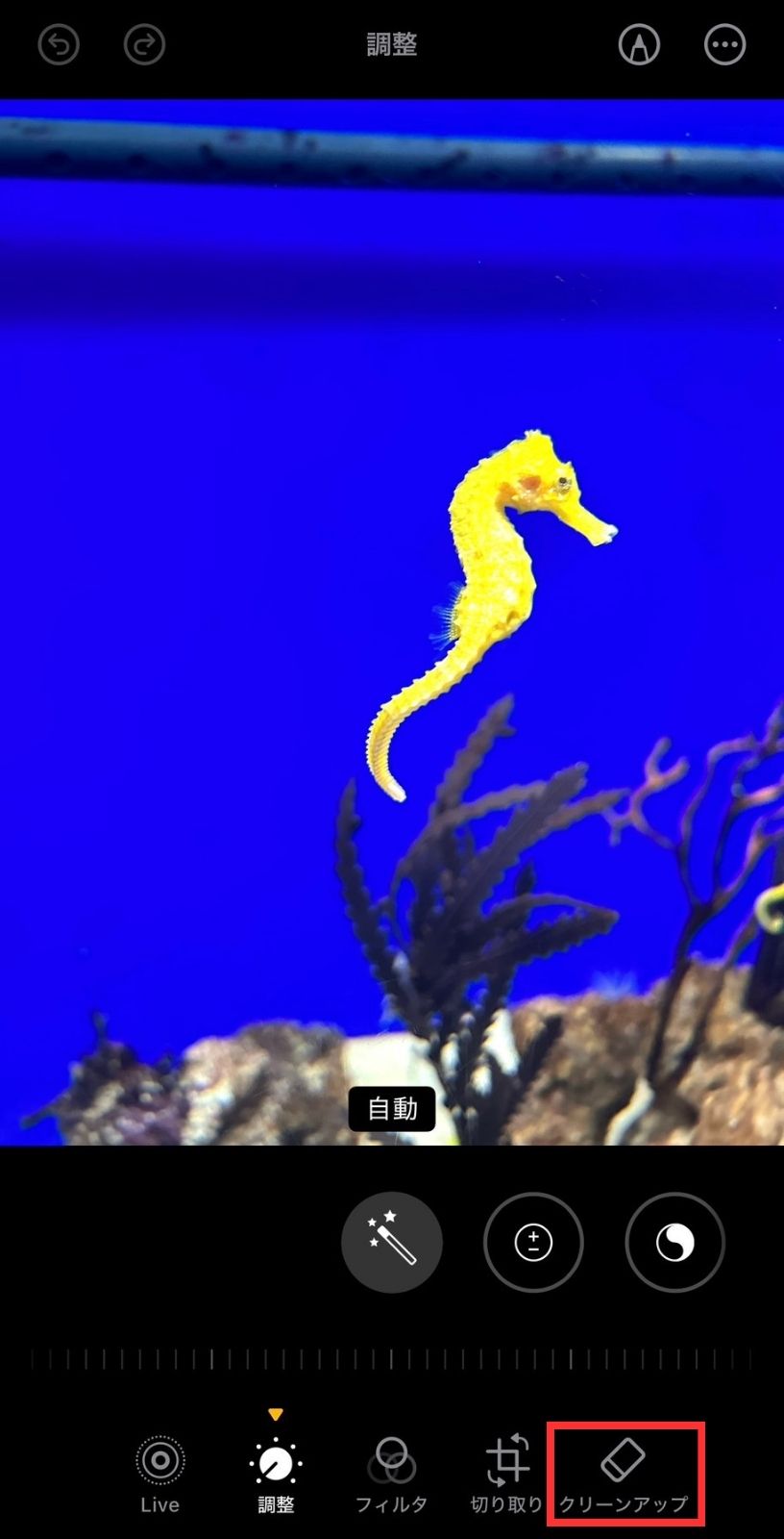 Apple Intelligenceらしさを体感しやすいのがクリーンアップ機能です