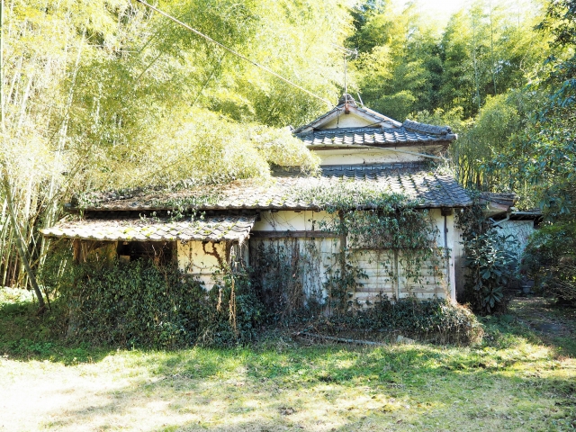 山梨の空き家問題の実態と活用モデル｜実態データ