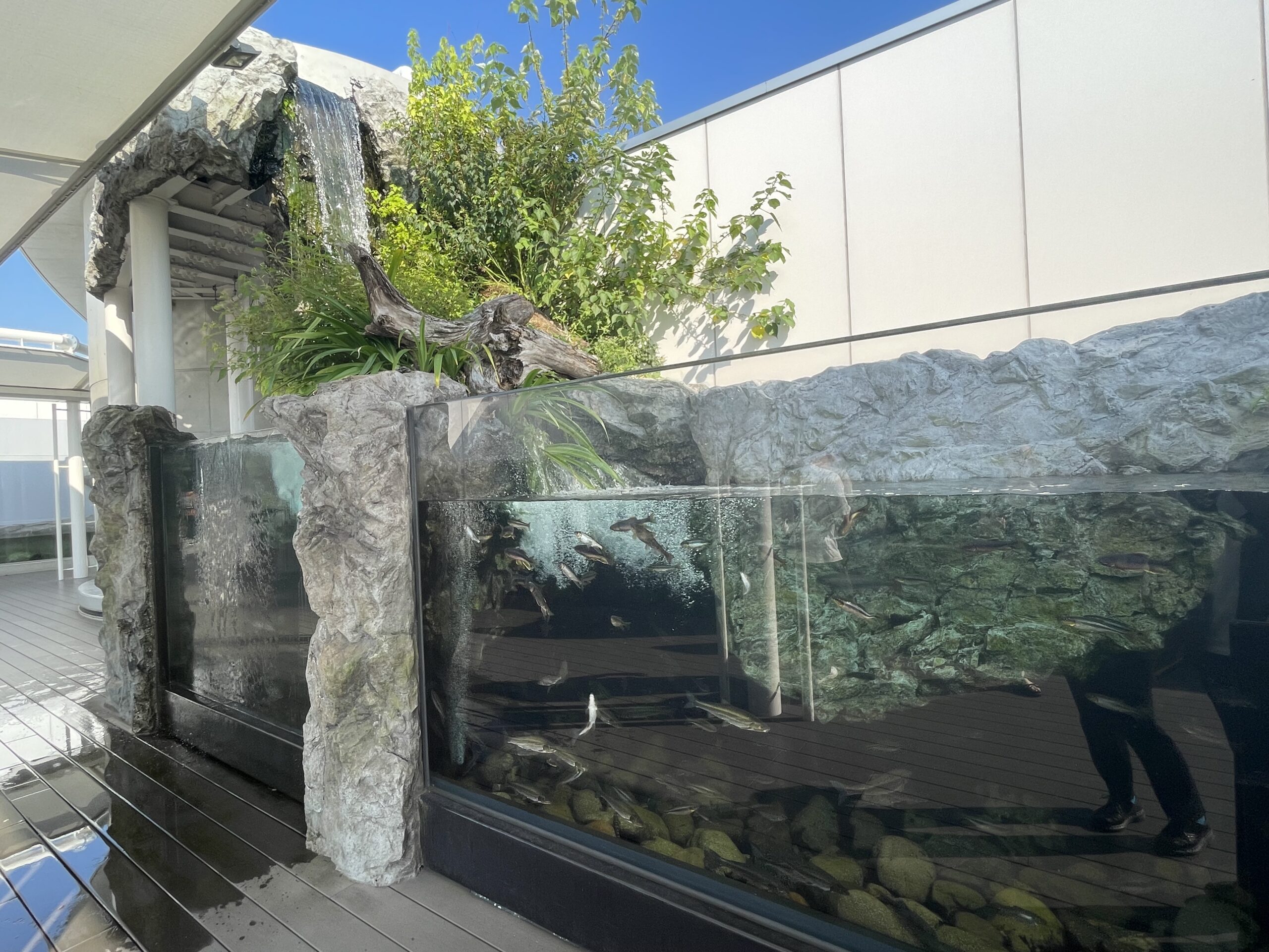 四国水族館の四国の水景を体感できる展示エリア