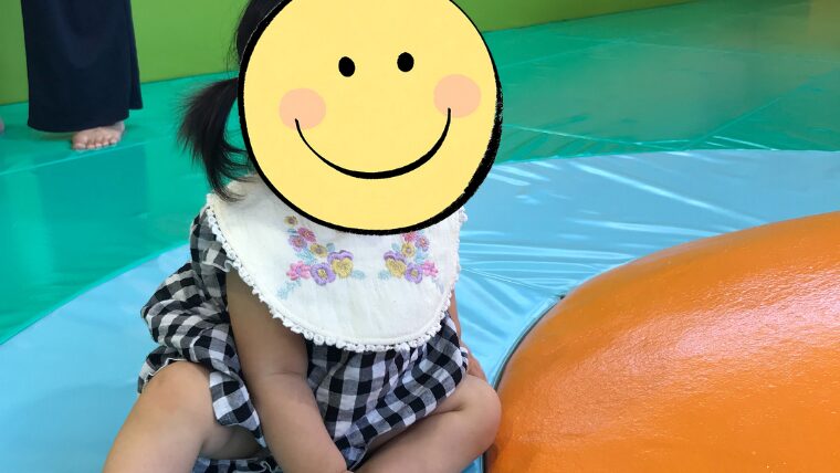 かがニコニコパークレビュー①元体育館の広さを最大限に活かした開放感