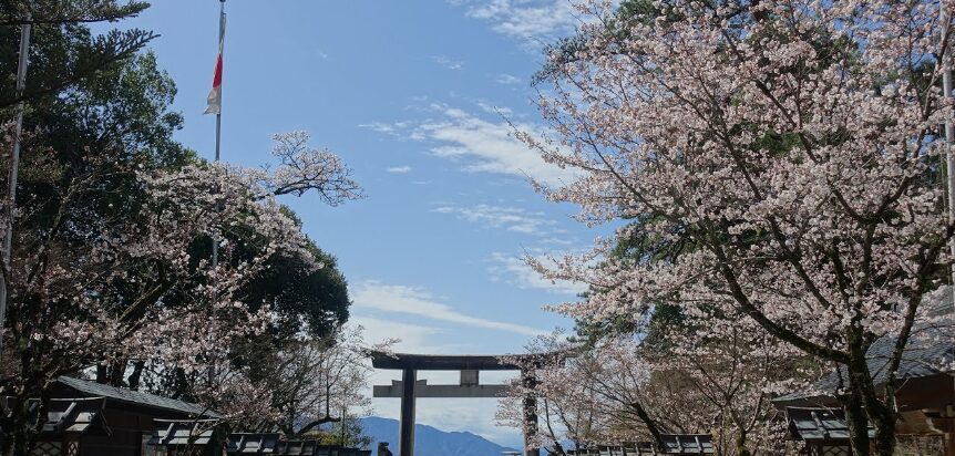 山梨の桜スポット13選④武田神社の桜（甲府市）