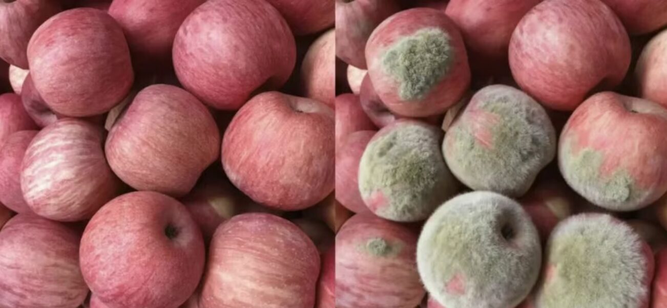 商品写真のAI加工による中国の事例：AI加工写真・動画で「破損・劣化」を装う返金要求