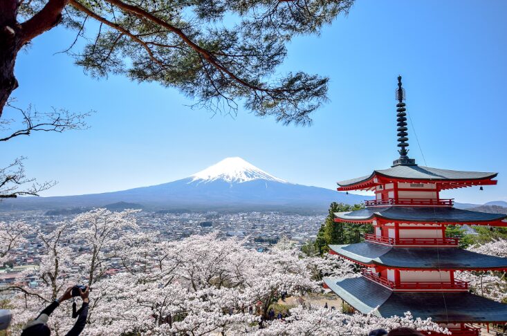 山梨の桜スポット13選②新倉山浅間公園（富士吉田市）