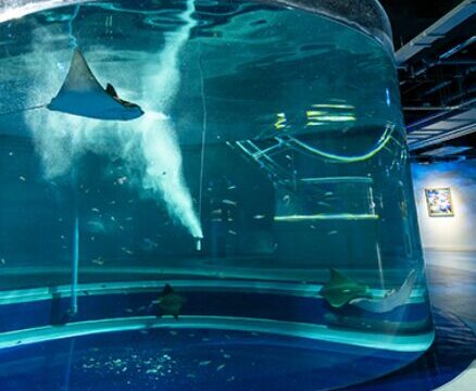 【兵庫】雨の日でも楽しめる人気スポット④átoa（アトア）