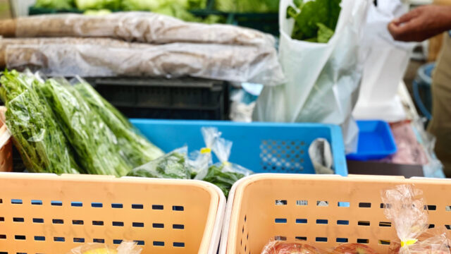 【初心者向け】マネーフォワードの使い方｜家計簿を自動化する5ステップ