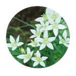 本気で頭皮ケアを始めたい男性におすすめの育毛剤