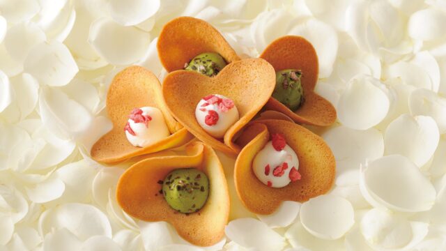 【京都】定番以外で喜ばれるおすすめお土産6選①京都洋菓子工房 KINEEL(きにーる)