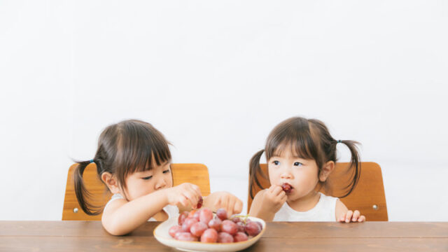 「うちの子はいつから英語を始めるべき？」③：子どもの「性格・興味」との相性