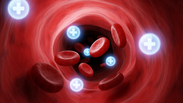 おすすめしたいザクロエラグ酸。血液検査や健康診断にも