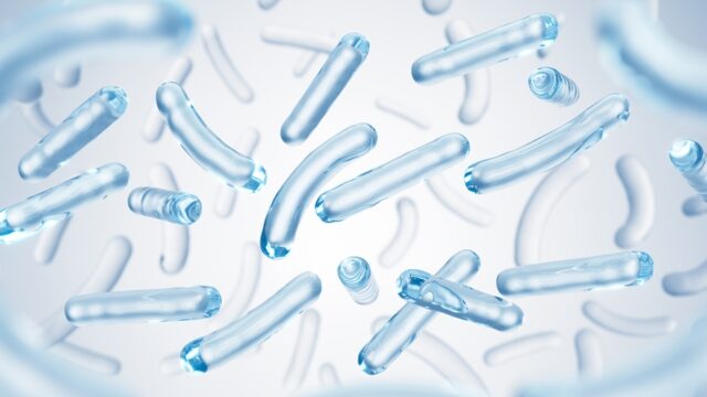 腸内細菌、インナーケアを重視したい人におすすめの組み合わせ