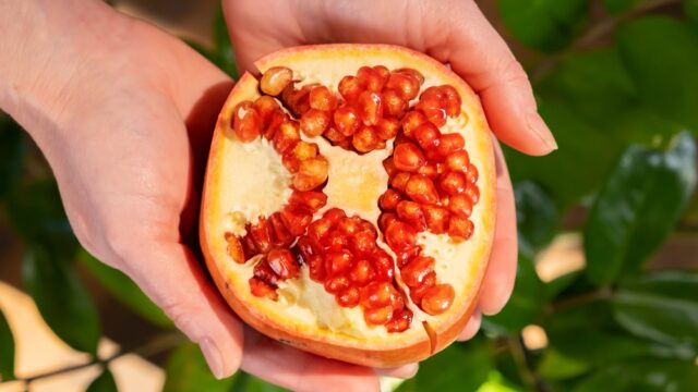 ダイエットや美容のサプリを探しているなら、おすすめしたいザクロエラグ酸