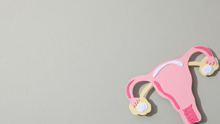 ミレーナ装着レポ！生理は軽くなった？装着の痛みは？装着前に知っておきたい基礎知識