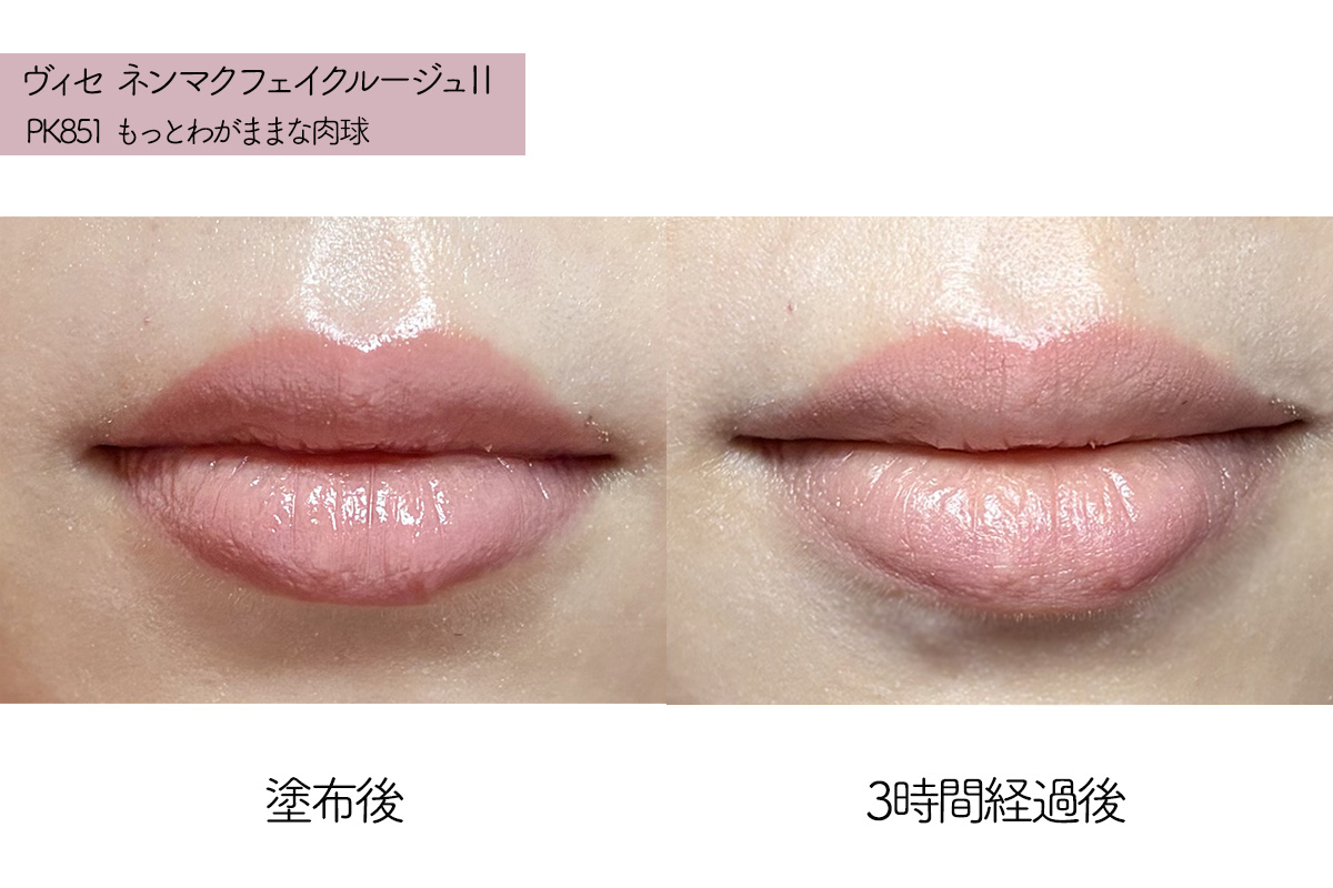 ヴィセ「ネンマクフェイク ルージュ」1日使うと荒れる？皮むけ・色モチ検証｜塗布3時間後