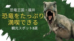 恐竜王国・福井｜恐竜をたっぷり満喫できる観光スポット3選