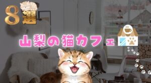 山梨県内の猫カフェ8店を、料金目安／営業時間／予約／アクセス／注意点までまとめて比較できる形で紹介