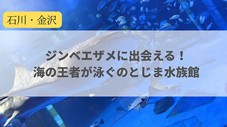 【石川・能登】ジンベエザメに出会える！海の王者が泳ぐのとじま水族館