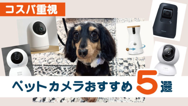 コスパ重視ペットカメラのおすすめ5選！犬の留守番・分離不安、ベビー用にも安心。お留守番中の見守りにピッタリなカメラをリアルな視点でご紹介。口コミまとめもあるので、比較しやすい！塚本無線 みてるちゃん、Furbo、SwitchBot、Tapo、パナソニック