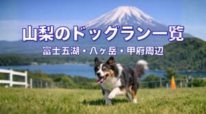 山梨のドッグラン一覧｜富士五湖・八ヶ岳・甲府周辺のドッグラン紹介