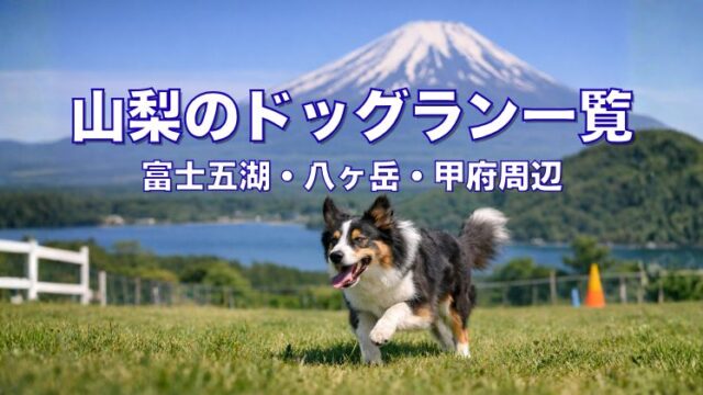 山梨のドッグラン一覧｜富士五湖・八ヶ岳・甲府周辺のドッグラン紹介