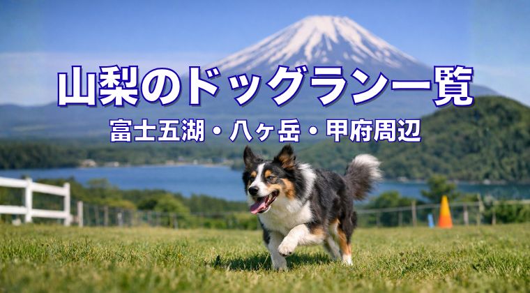山梨のドッグラン一覧｜富士五湖・八ヶ岳・甲府周辺のドッグラン紹介