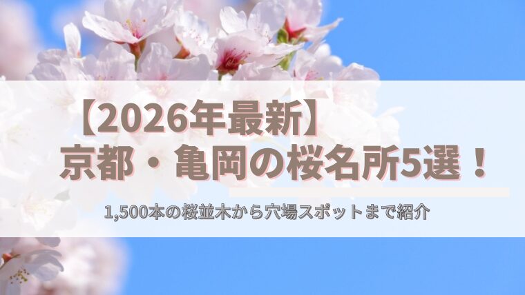 【2026年最新】京都・亀岡の桜名所5選！1,500本の桜並木から穴場スポットまで紹介