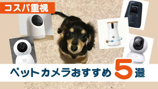 犬・猫・赤ちゃんにもおすすめな見守りカメラ！安心の日本製も