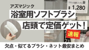 どこで買えるか徹底調査！あったのはカインズ、コーナン。ネット最安と似てるブラシもご紹介。